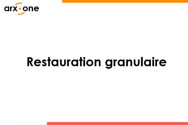webinaire restau granulaire
