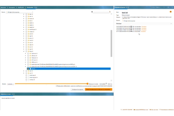 restauration granulaire